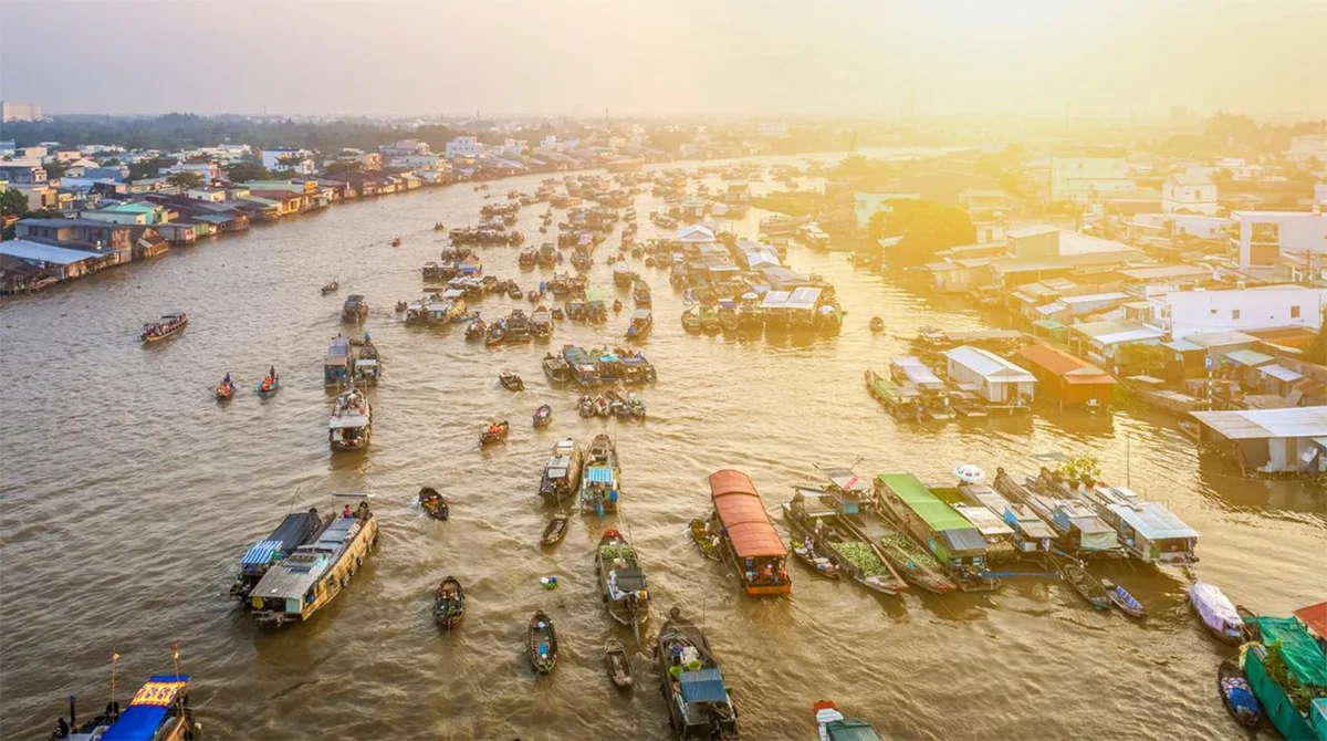 can tho cho noi cai rang