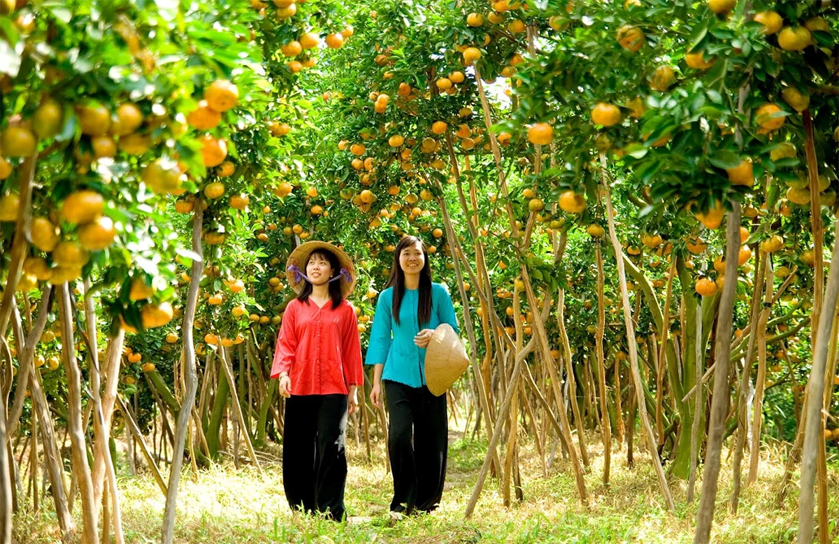 miet vuon vinh long