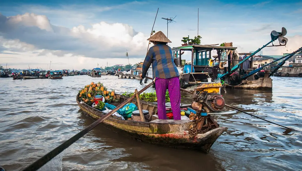 can tho cho noi cai rang