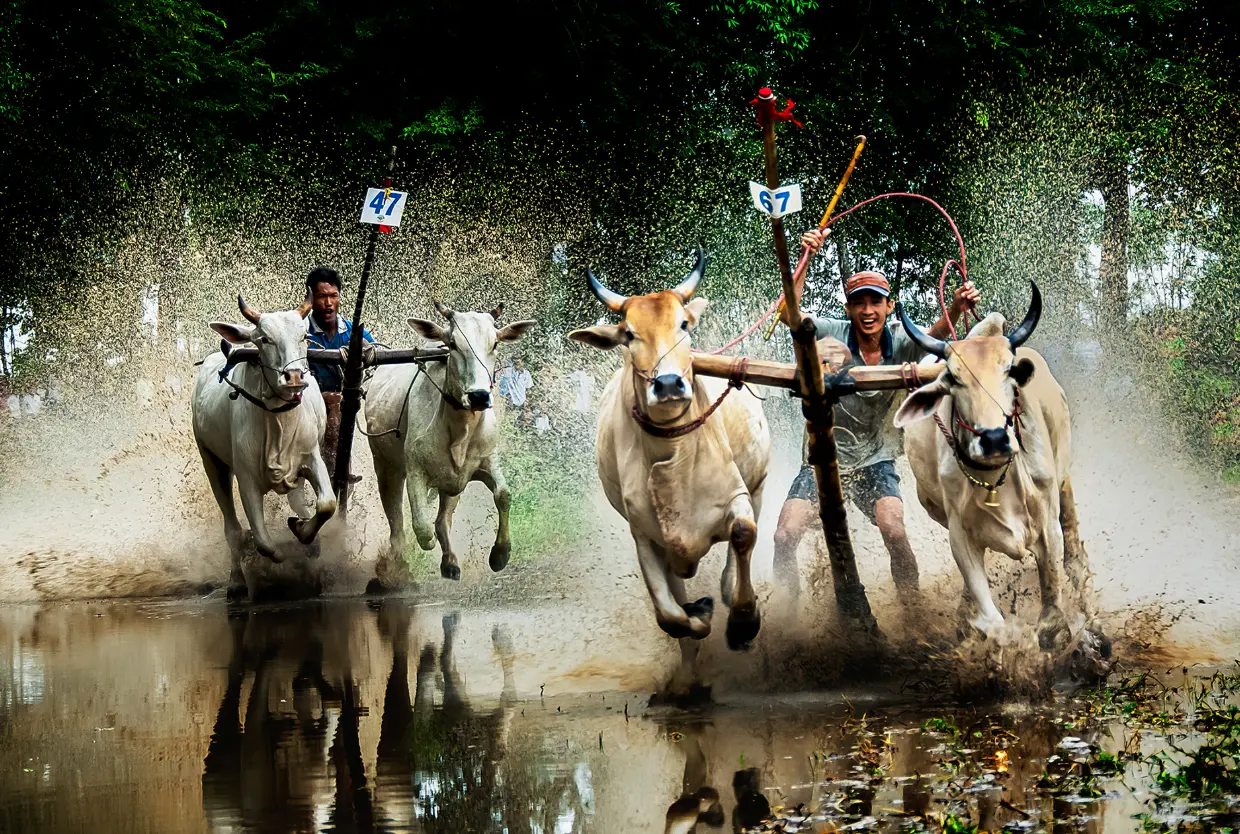 le hoi tai an giang