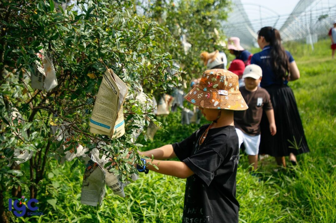 bà đen ecofarm