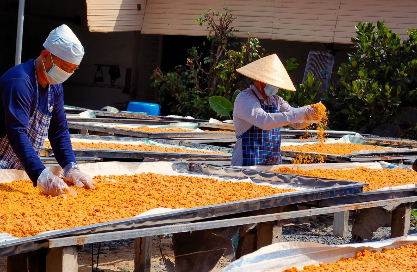 muối tôm hòa thành tây ninh