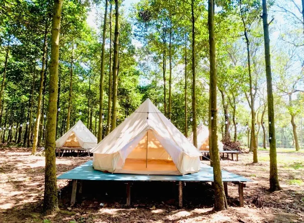 cam trai tai nong trai phu gia